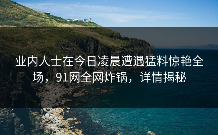 业内人士在今日凌晨遭遇猛料惊艳全场，91网全网炸锅，详情揭秘