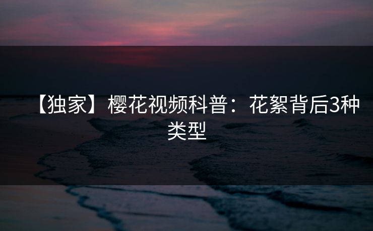 【独家】樱花视频科普：花絮背后3种类型