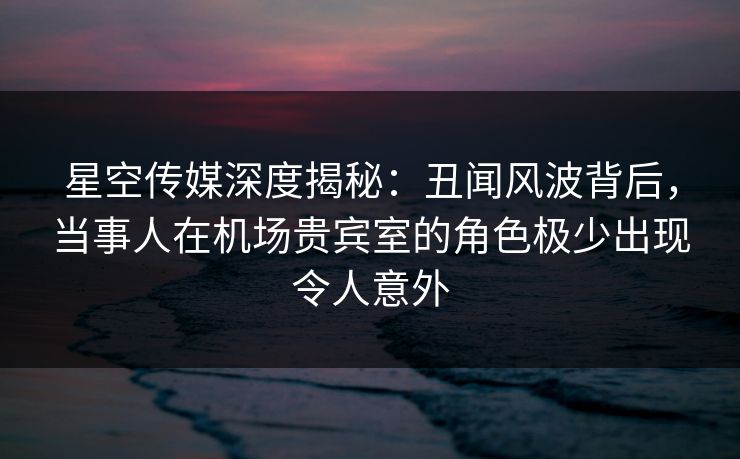 星空传媒深度揭秘：丑闻风波背后，当事人在机场贵宾室的角色极少出现令人意外