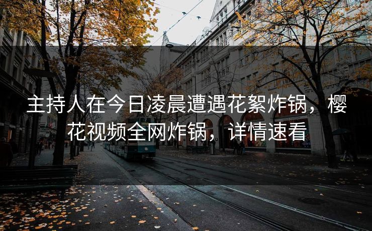 主持人在今日凌晨遭遇花絮炸锅，樱花视频全网炸锅，详情速看